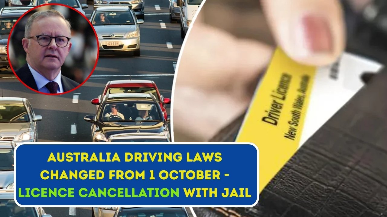 Licence Cancellation with Jail