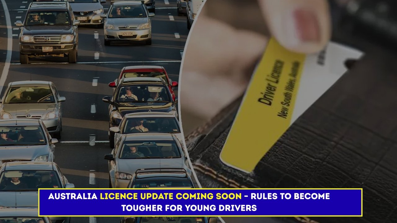 licence update