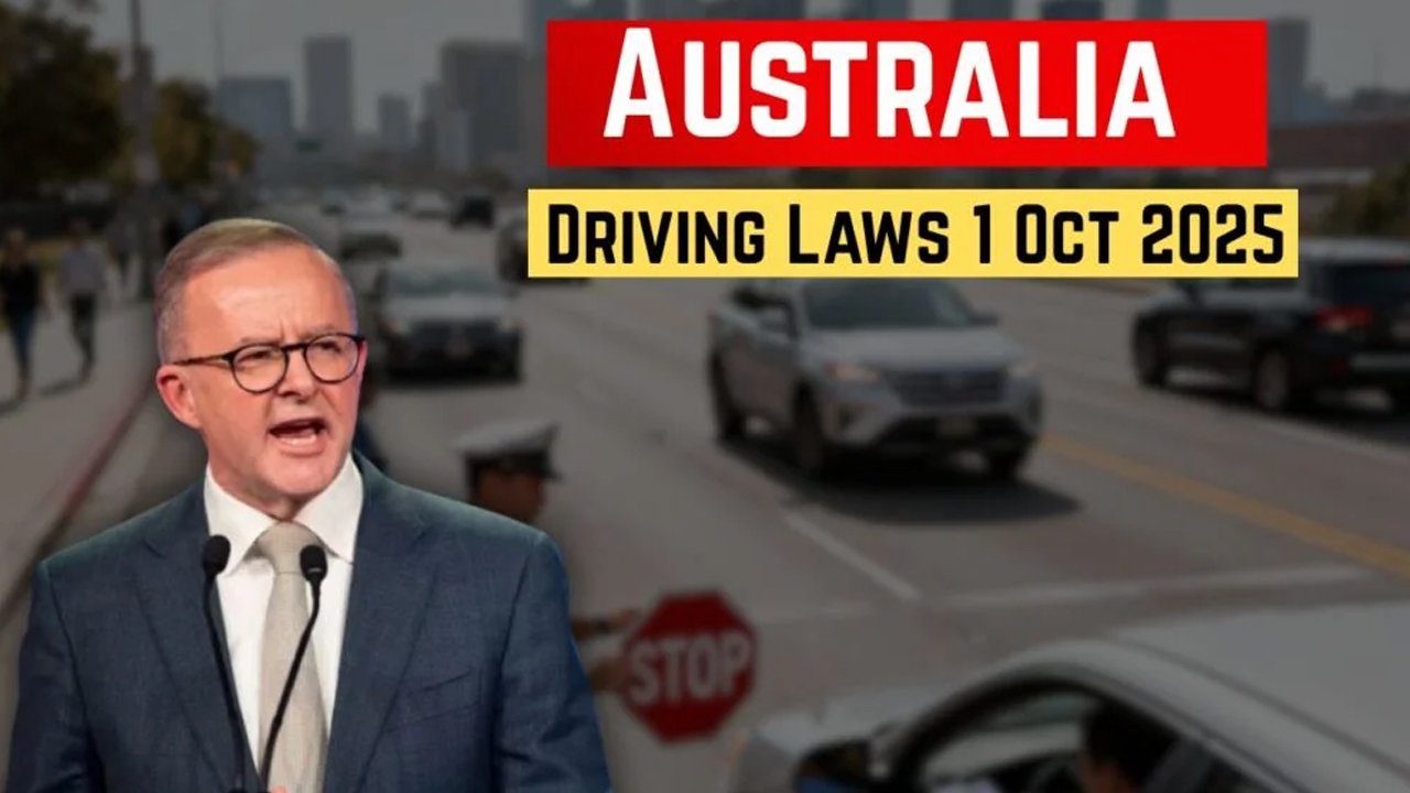driving rule